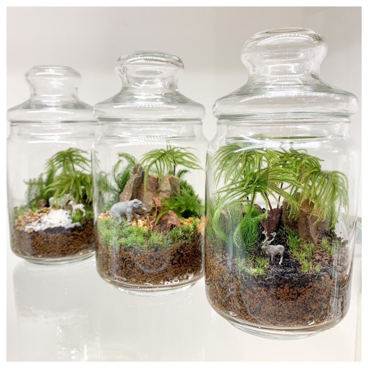 植物のある暮らしを手軽に実現 コケテラリウムの世界を知るイベント 小田急ボタニカルラウンジ Ovo オーヴォ 植物のある暮らしを手軽に実現 コケテラリウムの世界を知るイベント 小田急ボタニカルラウンジ Ovo オーヴォ