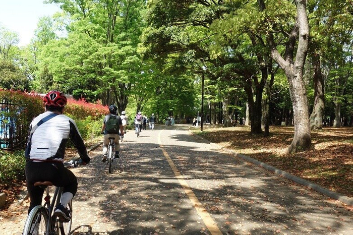 スポーツ自転車にゆっくり乗ってみよう 代々木公園の散走 Ovo オーヴォ