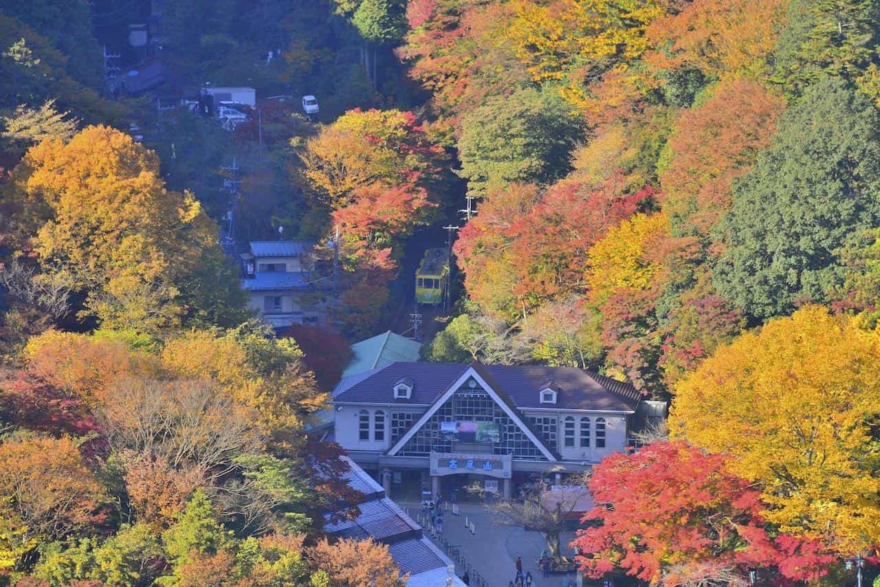 10月ベストシーズンの国内旅行先 高尾山の紅葉登山 鬼怒川ライン下り 白馬村熱気球体験など今楽しみたいアクティビティ5選 Ovo オーヴォ